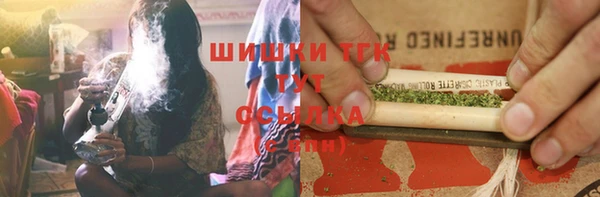 хмурый Ладушкин