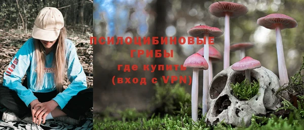 хмурый Ладушкин