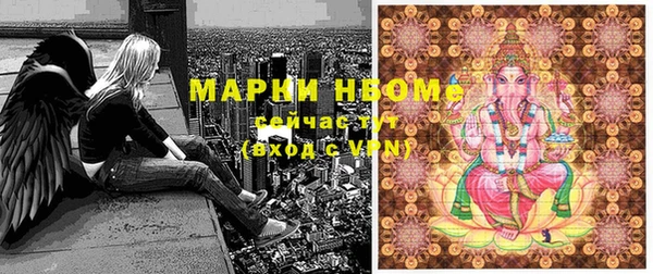 хмурый Ладушкин